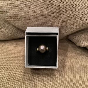 Jumbo Freshwater Chocolate Brown Pearl on Brass Band Hillary Heydle